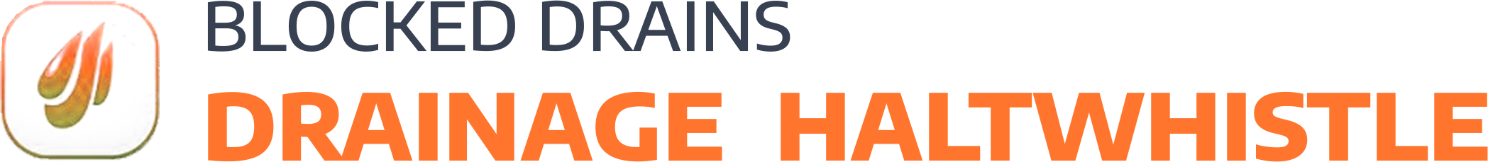 website logo